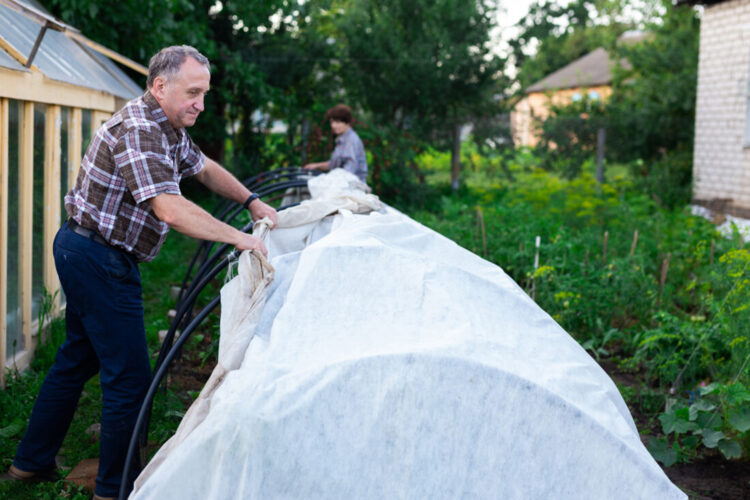 Homemade PVC Greenhouse